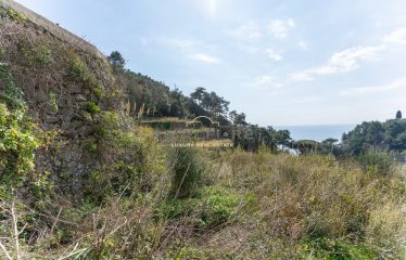 RURAL BUILDING WITH GARDEN SEA VIEW IN MAIORI