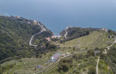 ORGANIC VINEYARDS AND WINERY FOR SALE IN AMALFI COAST